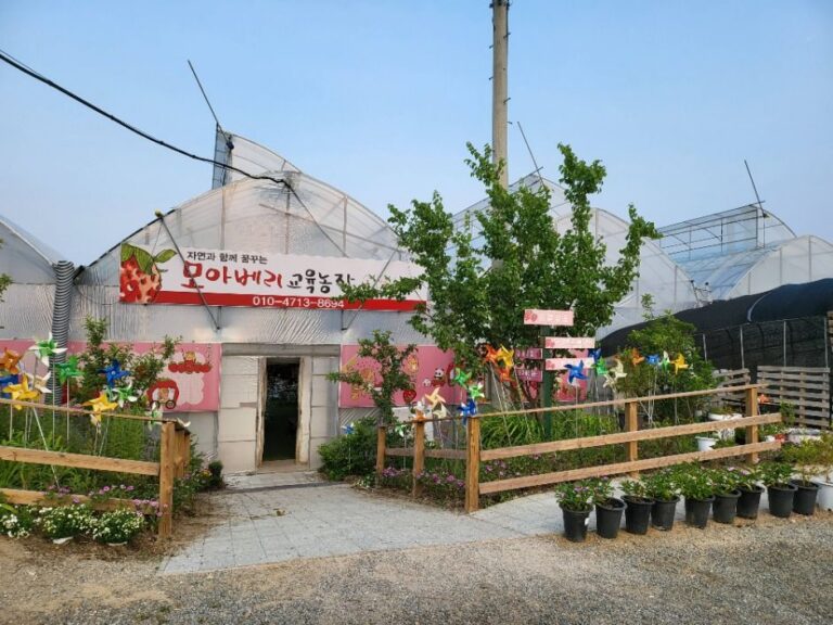 [경기] 모아베리교육농장