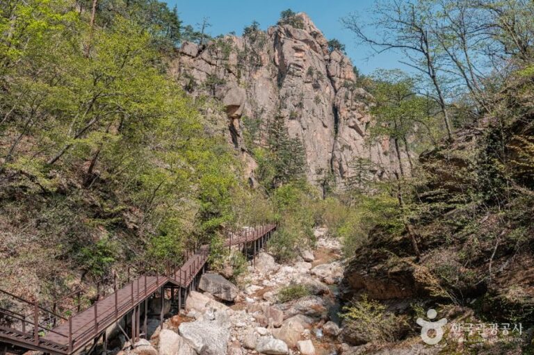 [강원] 설악산국립공원(남설악)