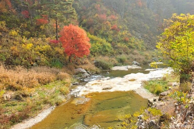 [강원] 소금강 (강원고생대 국가지질공원)