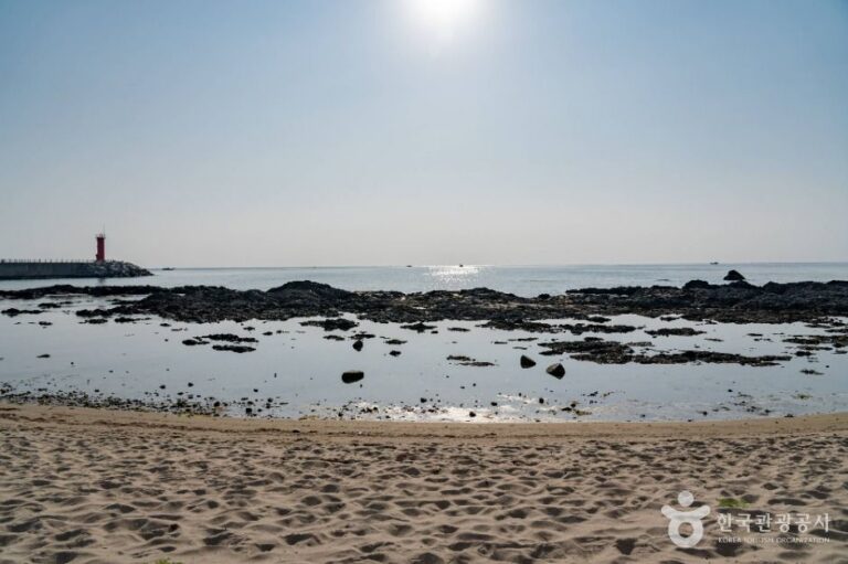 [강원] 안인해변