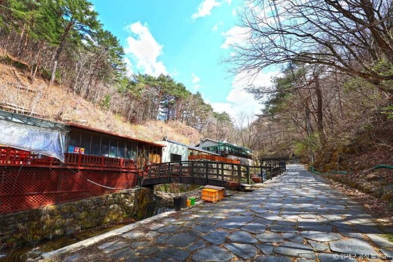 [강원] 방동약수