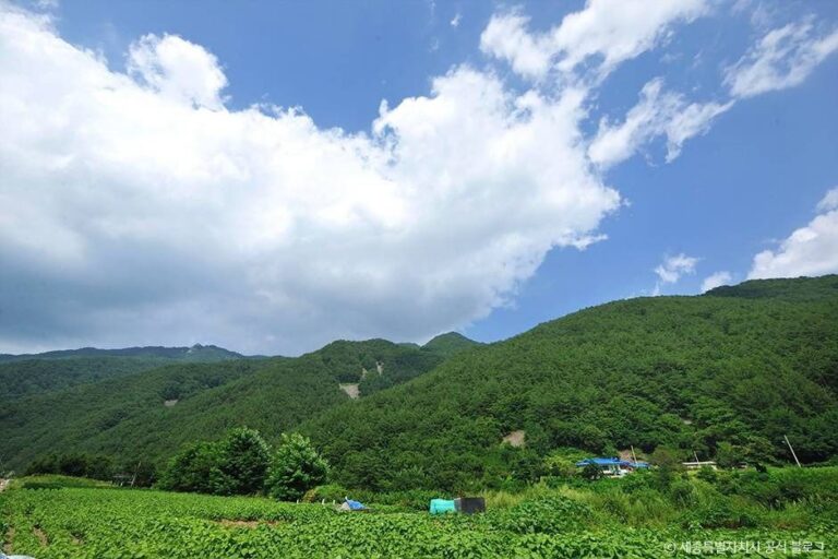 [강원] 백석봉(정선)