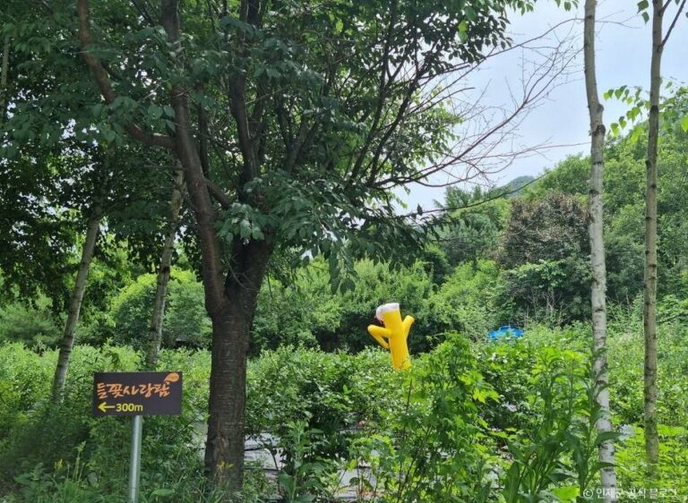 [강원] 인제 냇강마을