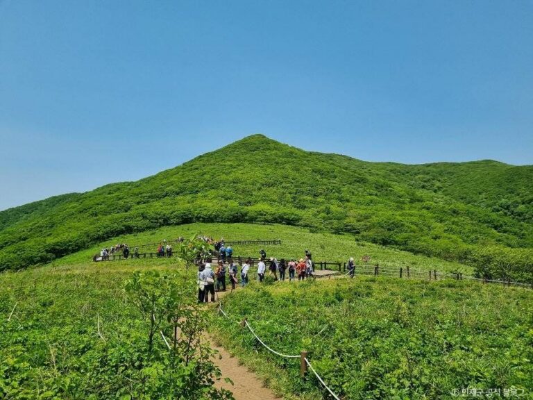 [강원] 점봉산 곰배령
