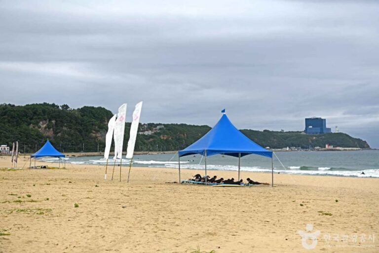 [강원] 금진해변