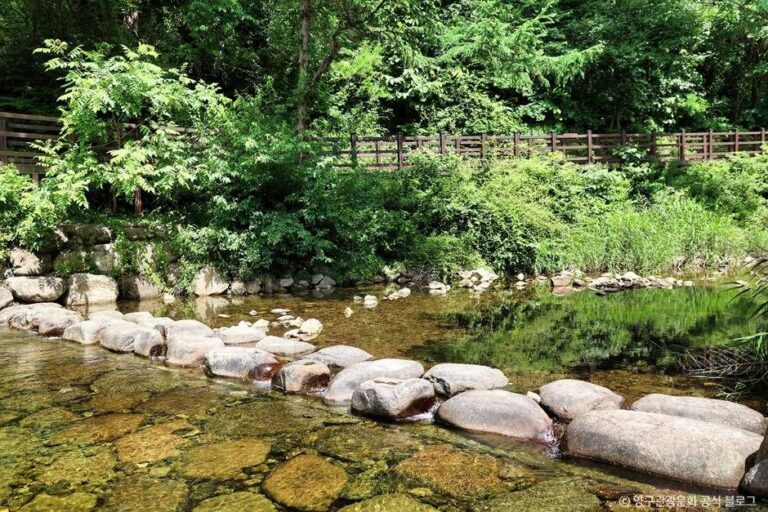 [강원] 광치계곡