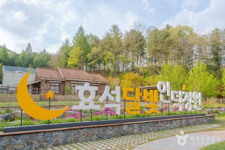 [강원] 효석 달빛언덕