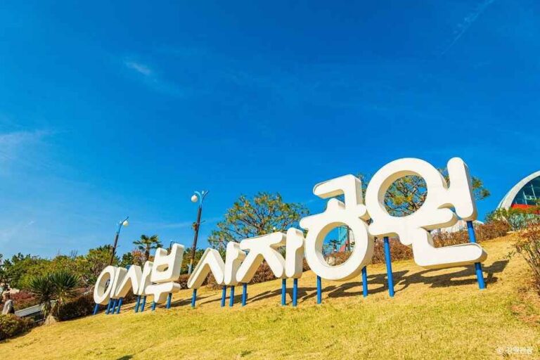 [강원] 이사부사자공원&그림책 나라