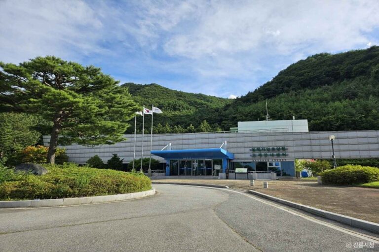 [강원] 임해자연휴양림
