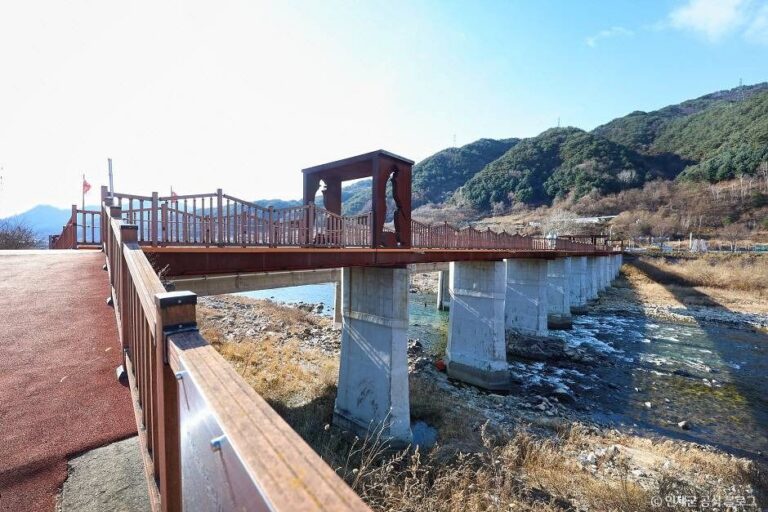 [강원] 리빙스턴교