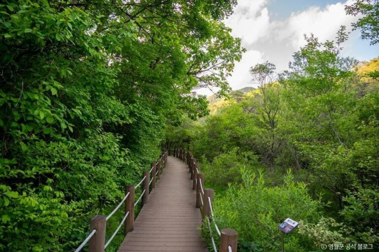 [강원] 물무리골생태습지