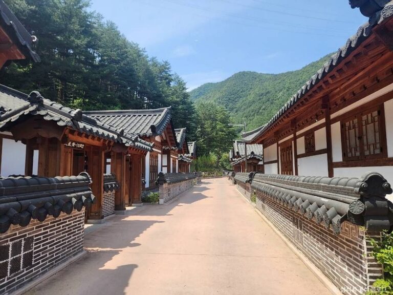 [강원] 삼척활기자연휴양림