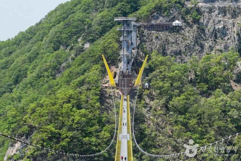 [강원] 소금산그랜드밸리