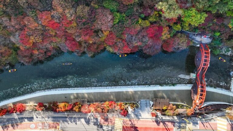 [강원] 철암단풍군락지