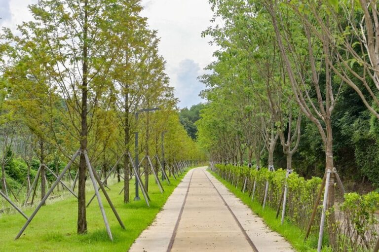 [강원] 치악산 바람길숲