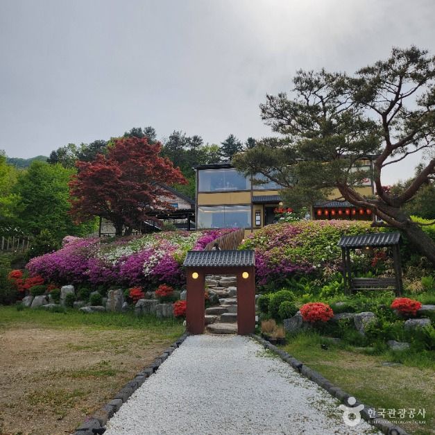 [강원] 대룡산장