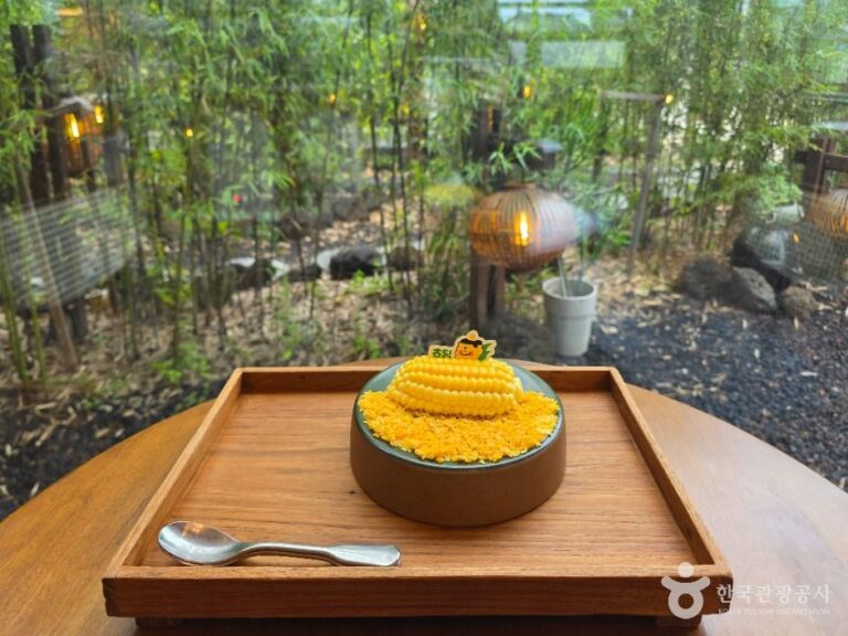 [강원] 초당옥수수푸딩카페 쵸딩