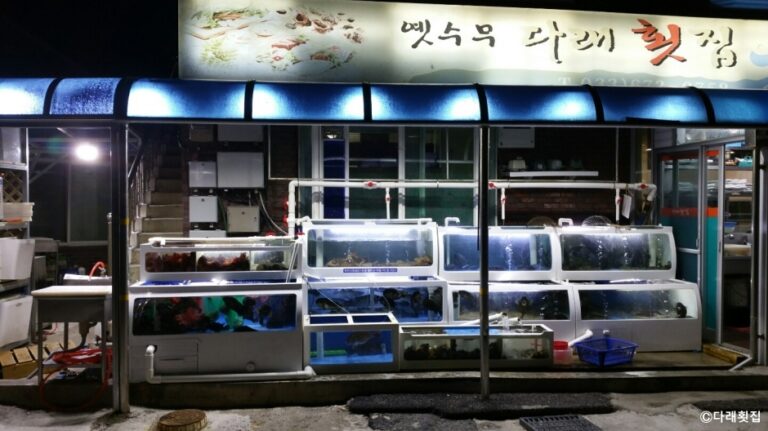 [강원] 다래횟집