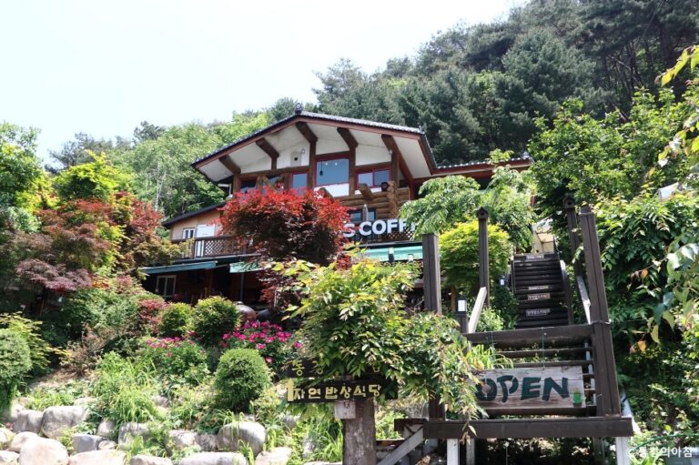 [강원] 동강의아침