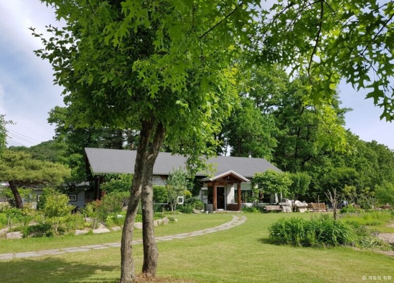 [강원] 채림의 정원