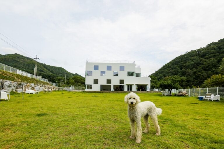[강원] 카페도즈오프