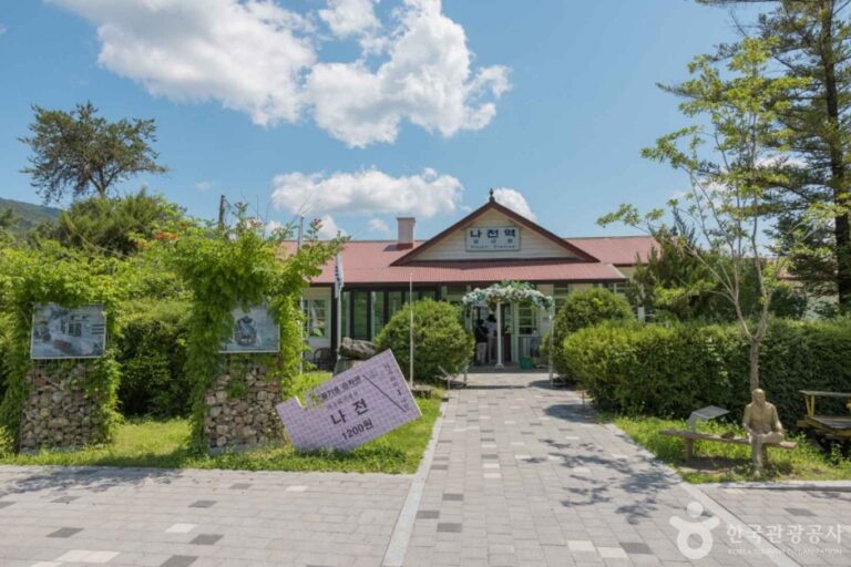 [강원] 카페나전역(나전카니발농업회사법인주식회사)