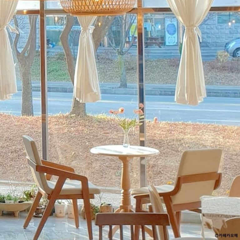 [강원] 카페카모메