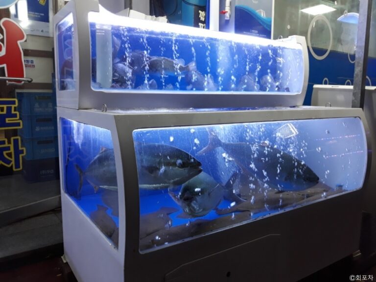 [강원] 김용복횟집