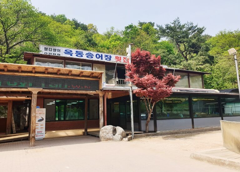 [강원] 옥동양어장횟집