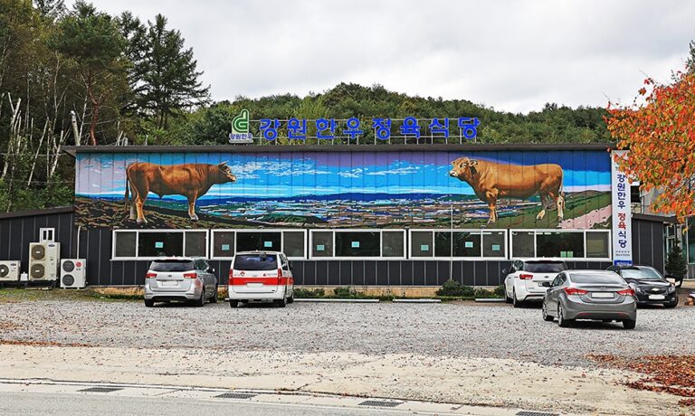 [강원] 강원한우정육식당