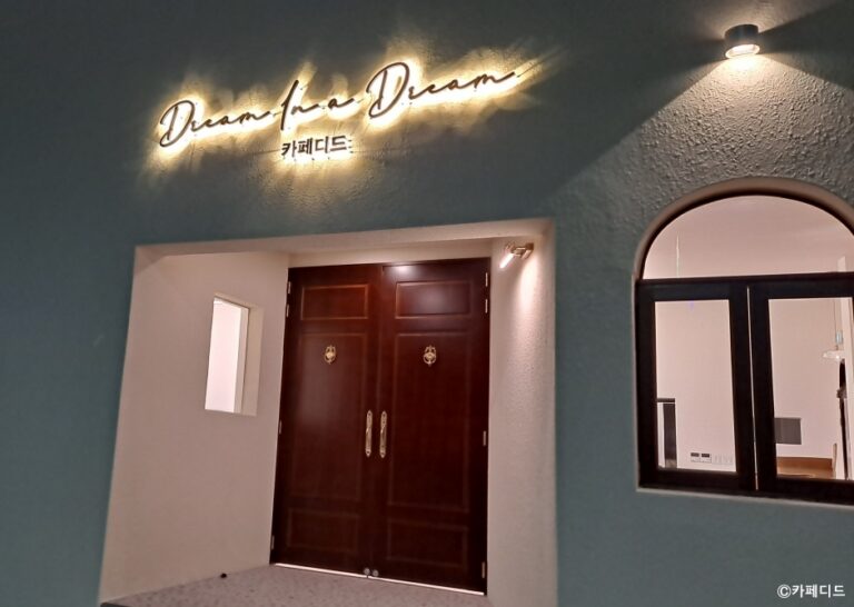 [강원] 카페디드