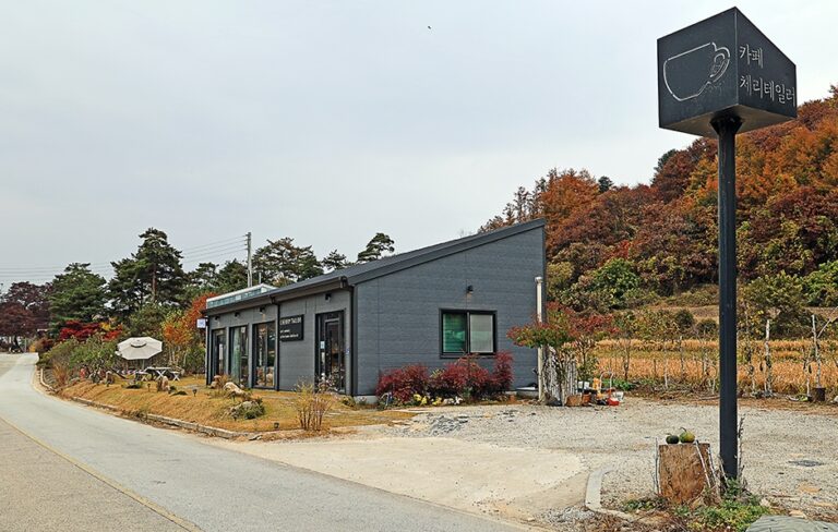 [강원] 체리테일러