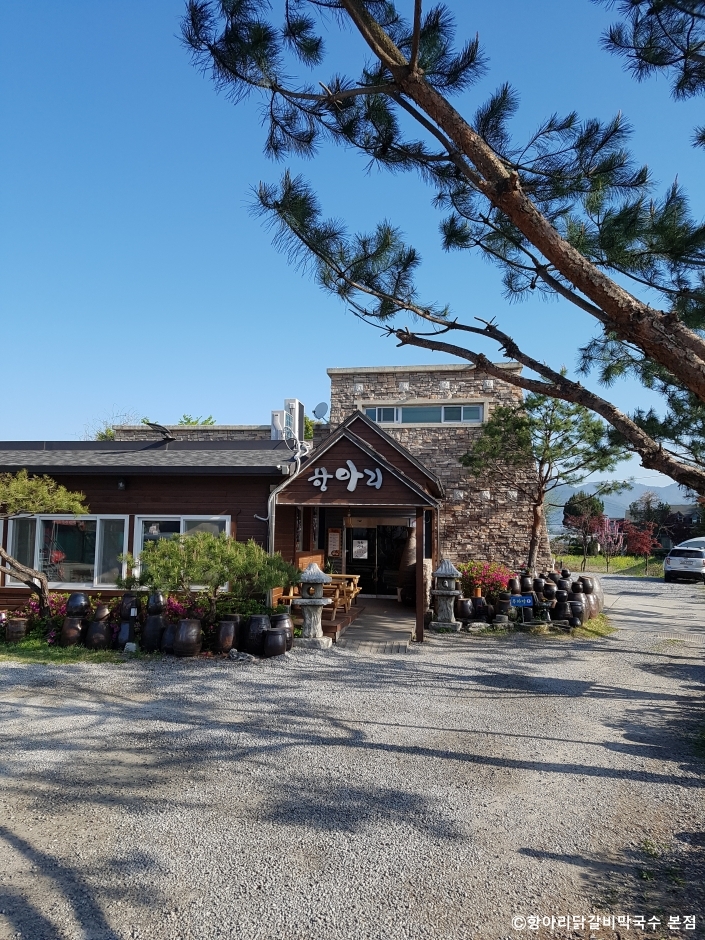 [강원] 항아리닭갈비막국수 본점