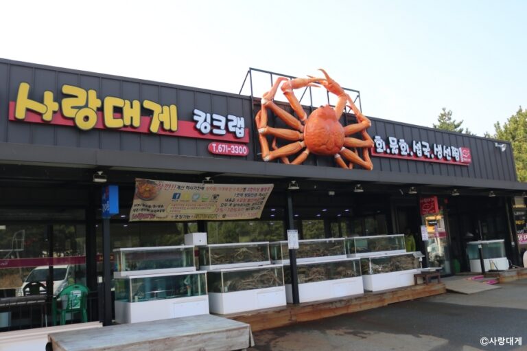 [강원] 사랑대게