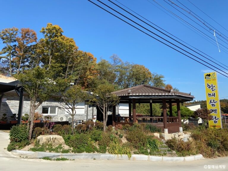 [강원] 할매삼계탕