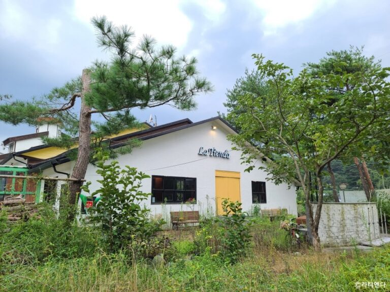 [강원] 라티엔다