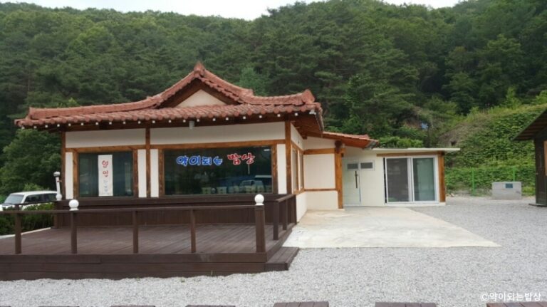 [강원] 약이되는밥상