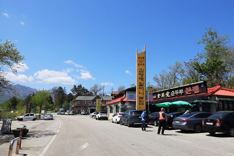 [강원] 김영애할머니순두부 본점