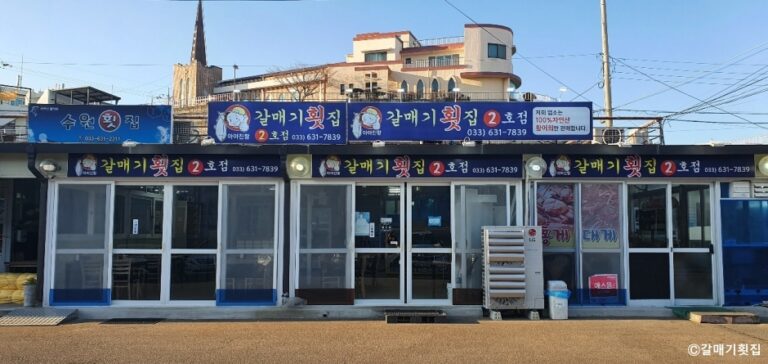 [강원] 갈매기횟집