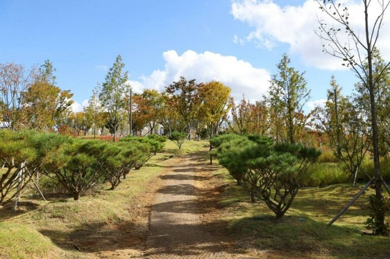 [충북] 충주 시민의 숲