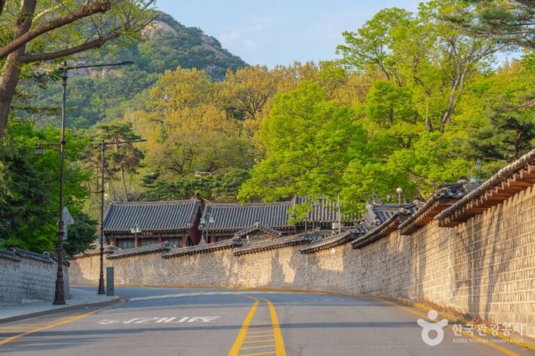 [서울] 청와대 앞길