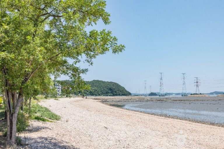 [인천] 노가리해변