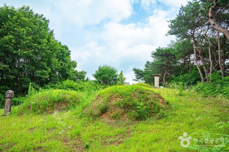 [광주] 양송천묘역