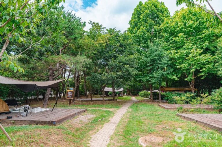 [광주] 광주시민의숲