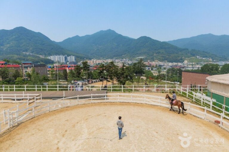 [경기] 비스타밸리