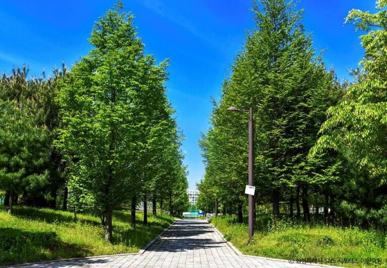 [경기] 향남화합공원