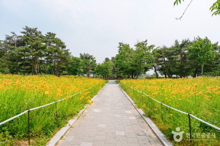 [경기] 서호공원