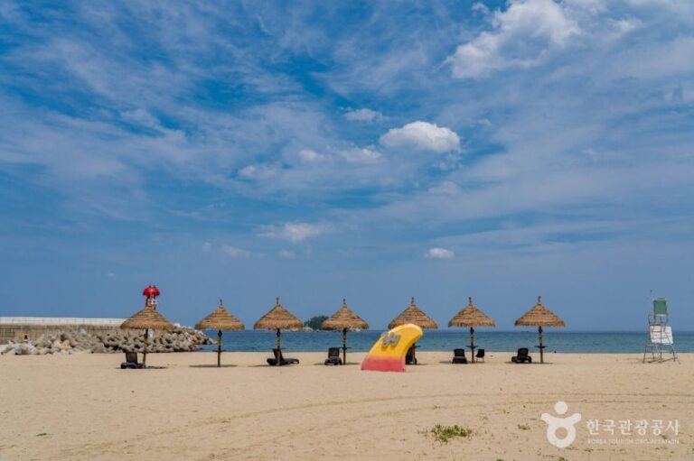 [강원] 기사문해수욕장