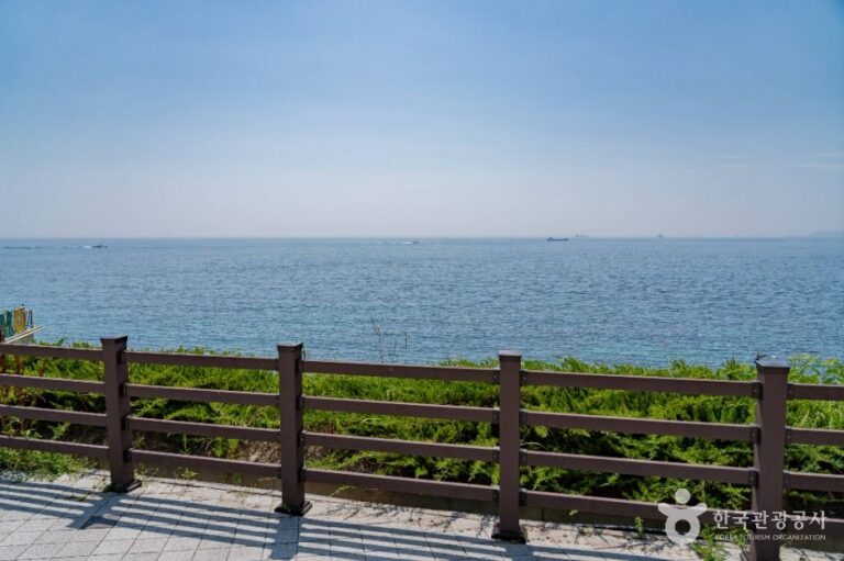 [강원] 일출공원