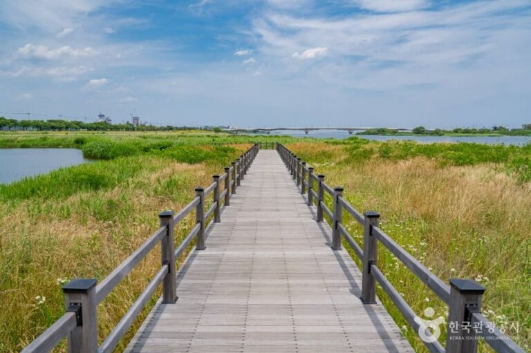 [강원] 남대천 생태관찰로